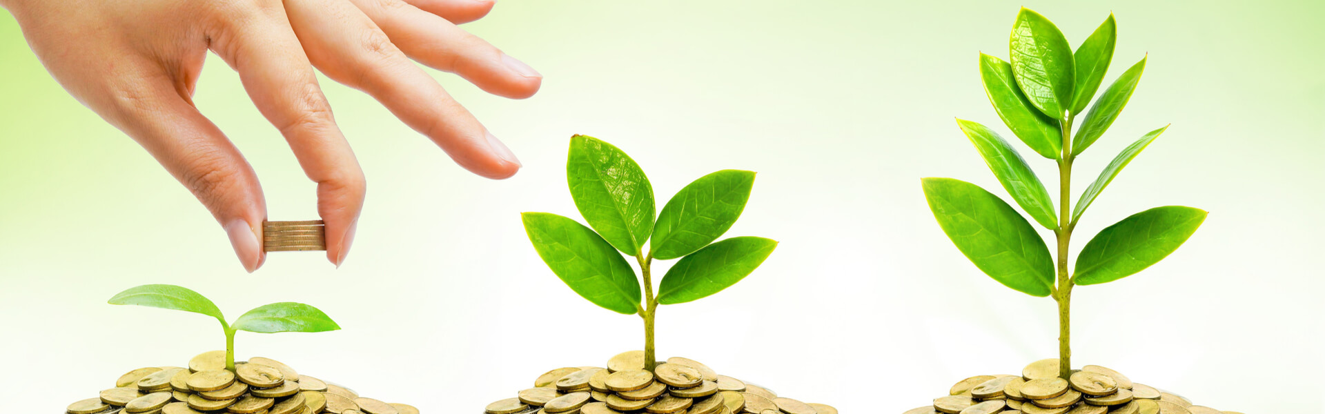 Banner vida Financiera